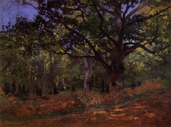 尅勞德 莫奈 The Bodmer Oak, Fontainebleau